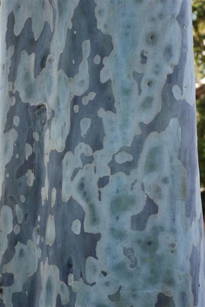 DSC_0713 (Medium).JPG