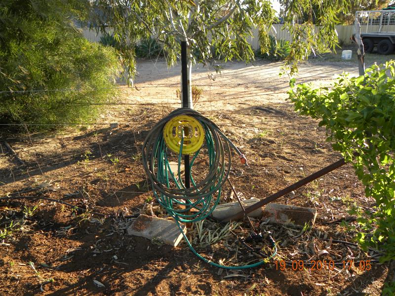 Gardens 004 (Medium).jpg