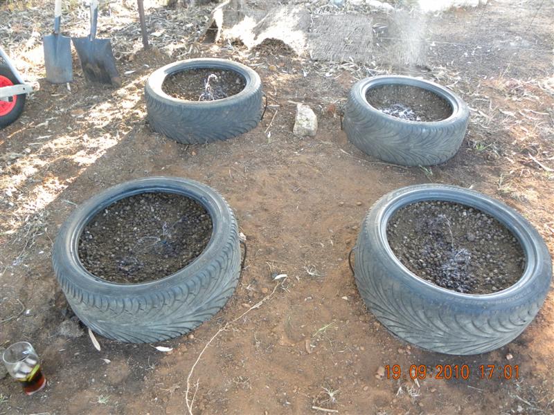 Gardens 002 (Medium).jpg