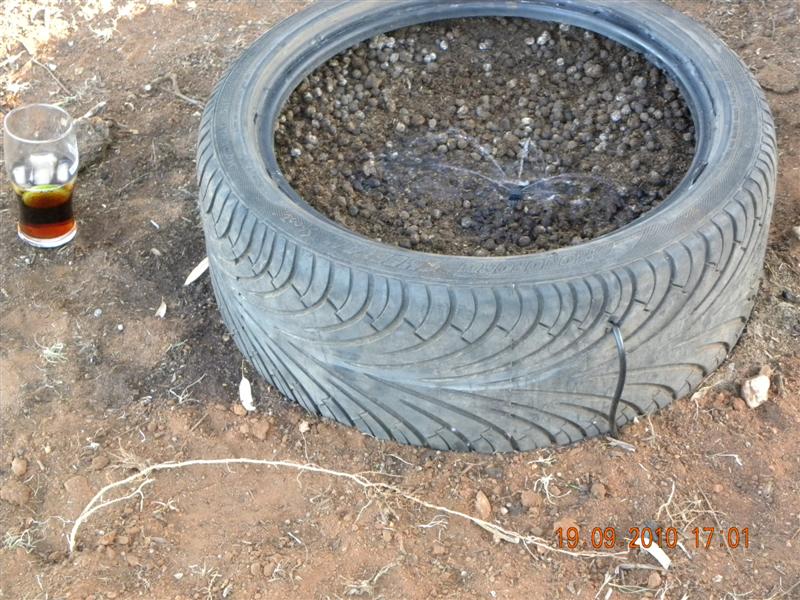 Gardens 003 (Medium).jpg