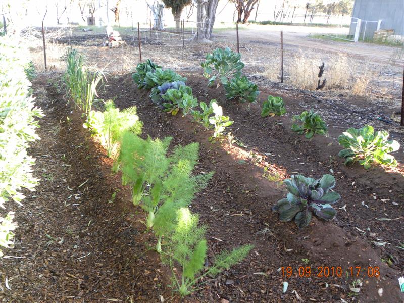 Gardens 007 (Medium).jpg