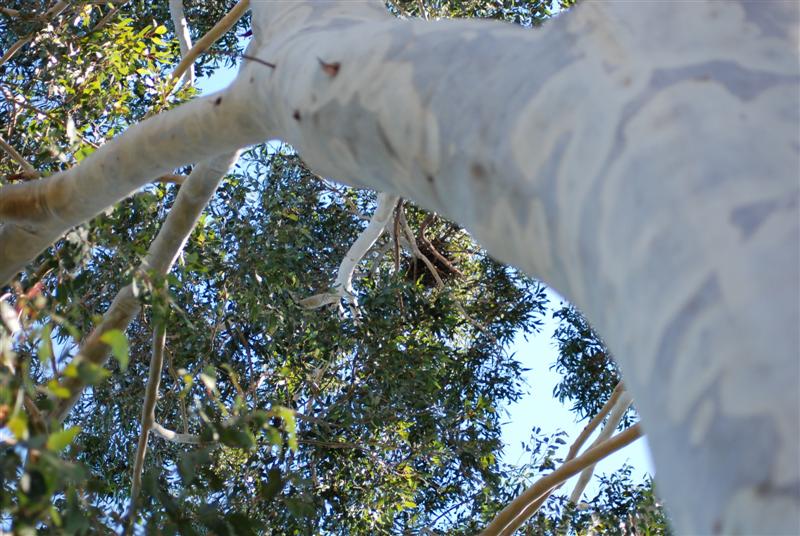 DSC_0711 (Medium).JPG