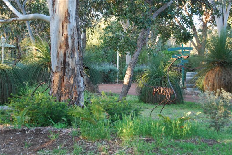 DSC_0881 (Medium).JPG