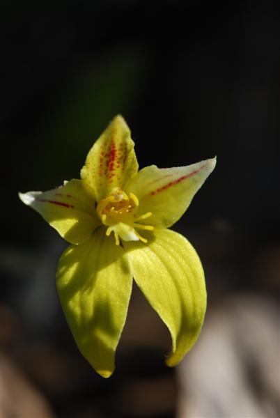 DSC_0762 (Medium).JPG