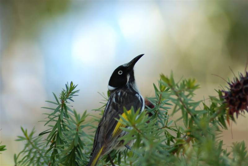 DSC_0690 (Medium).JPG