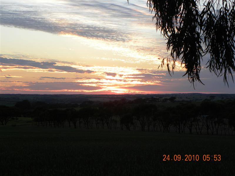 Gardens 015 (Medium).jpg