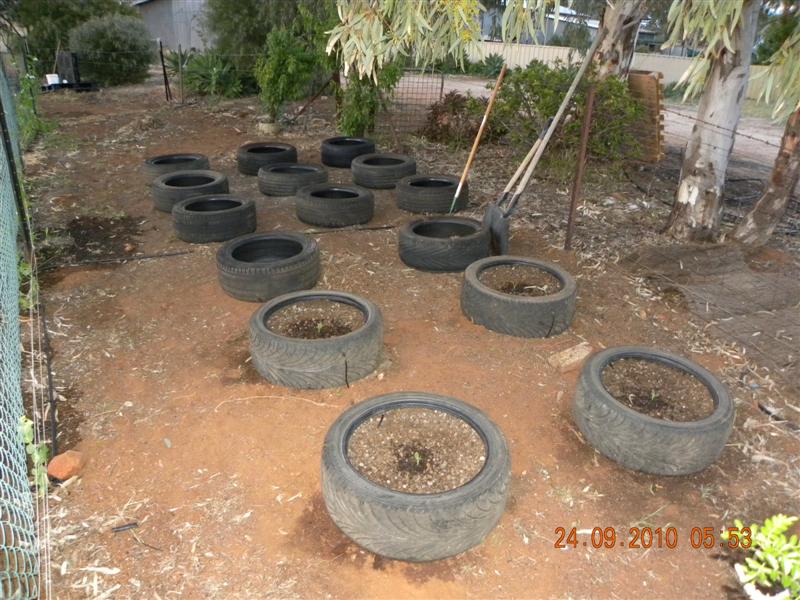 Gardens 014 (Medium).jpg