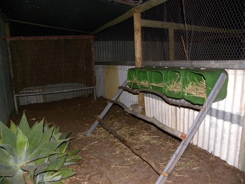 Aquaponics Stuff 004 (Medium).jpg