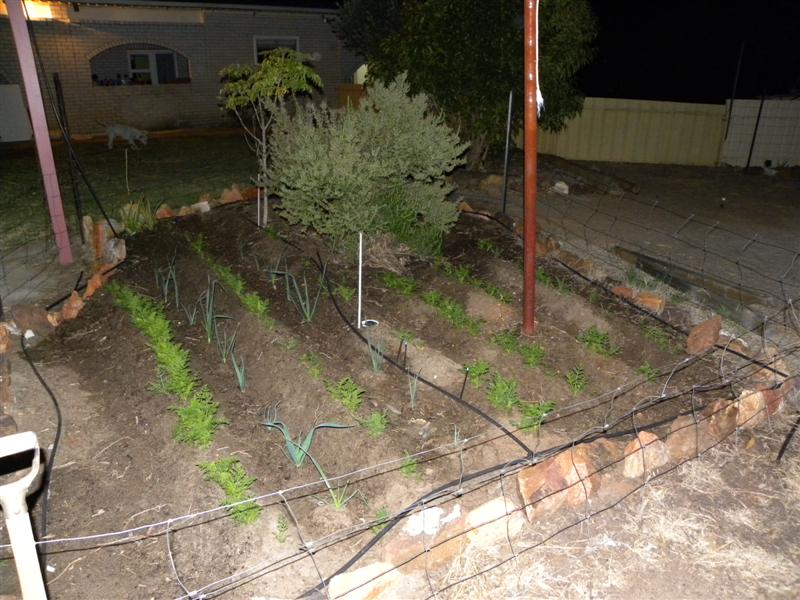 Aquaponics Stuff 008 (Medium).jpg