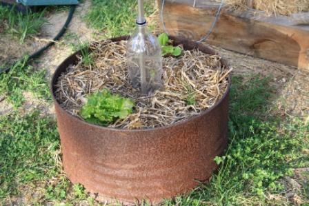 September 2010 130small.jpg