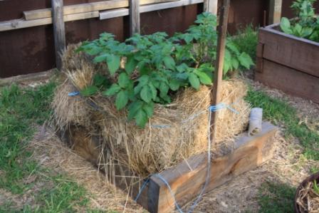 September 2010 131small.jpg