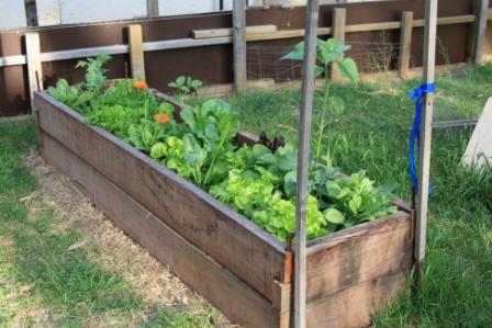 September 2010 129small.jpg