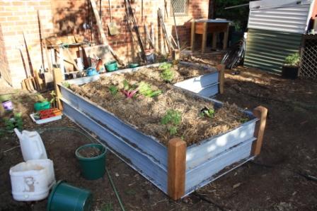 September 2010 121small.jpg