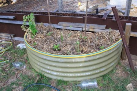 September 2010 132small.jpg