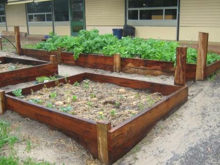 marri garden beds.JPG