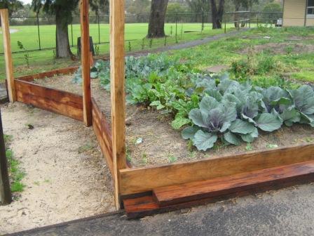marri garden beds 02.JPG