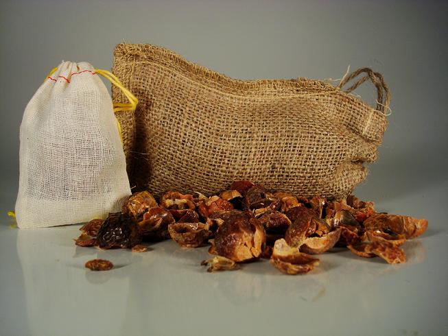 Soapnuts.jpg