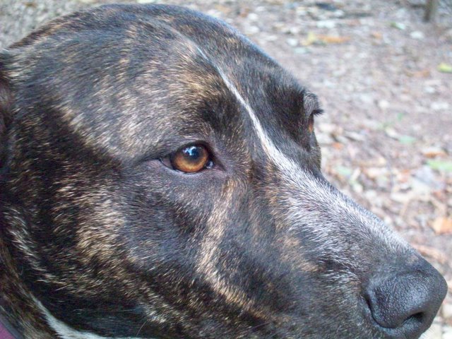 Copy of 100_0810.JPG