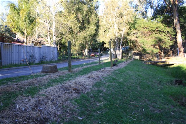 21 September 2010 005.jpg