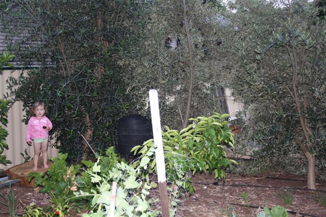 October 2010 007.jpg