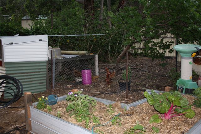 October 2010 002.jpg