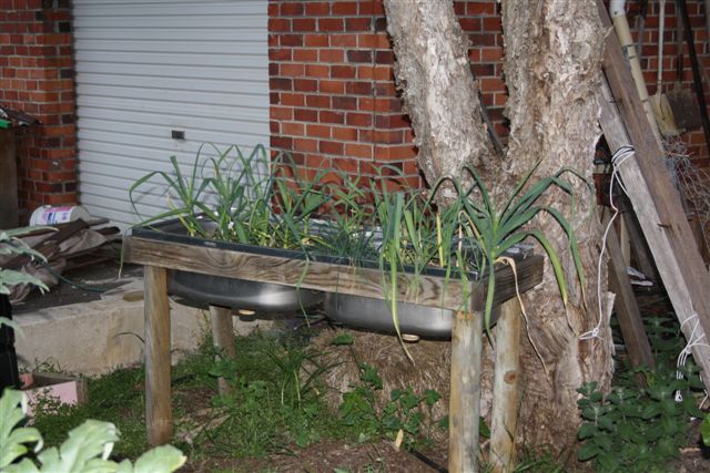 October 2010 009.jpg