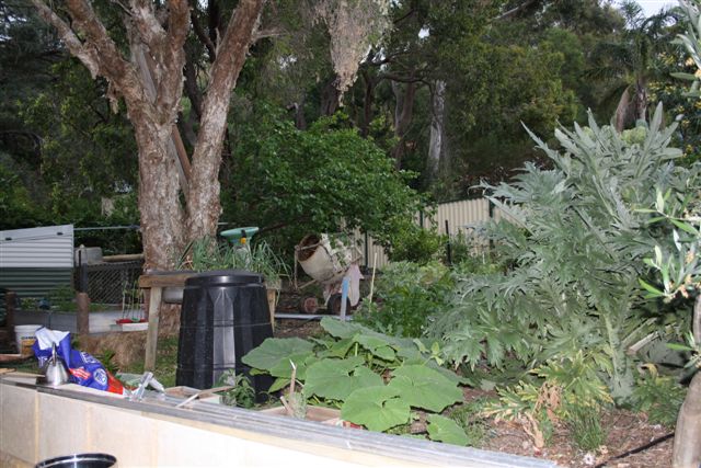 October 2010 001.jpg