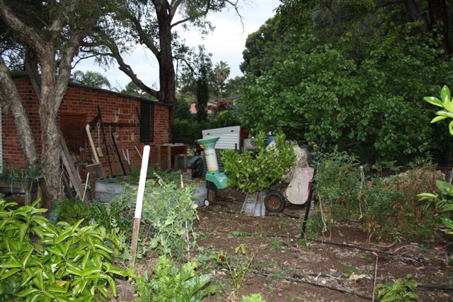 October 2010 008.jpg