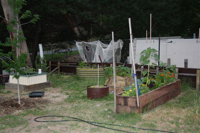 October 2010 013.jpg