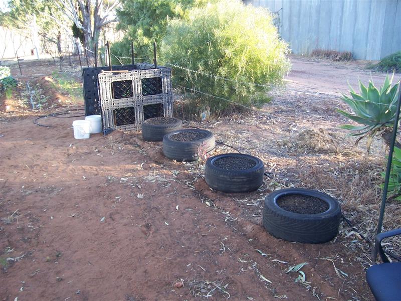 31-10-10 002 (Medium).jpg