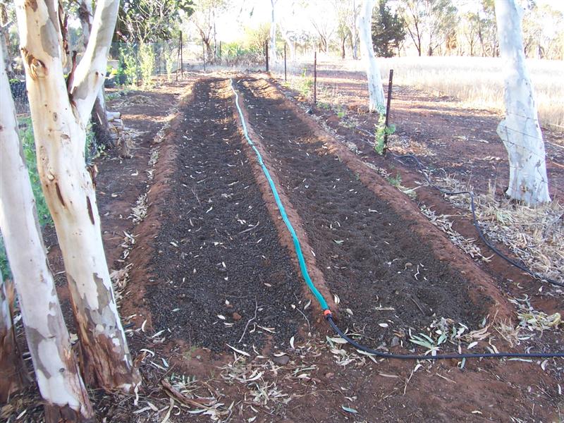 31-10-10 005 (Medium).jpg