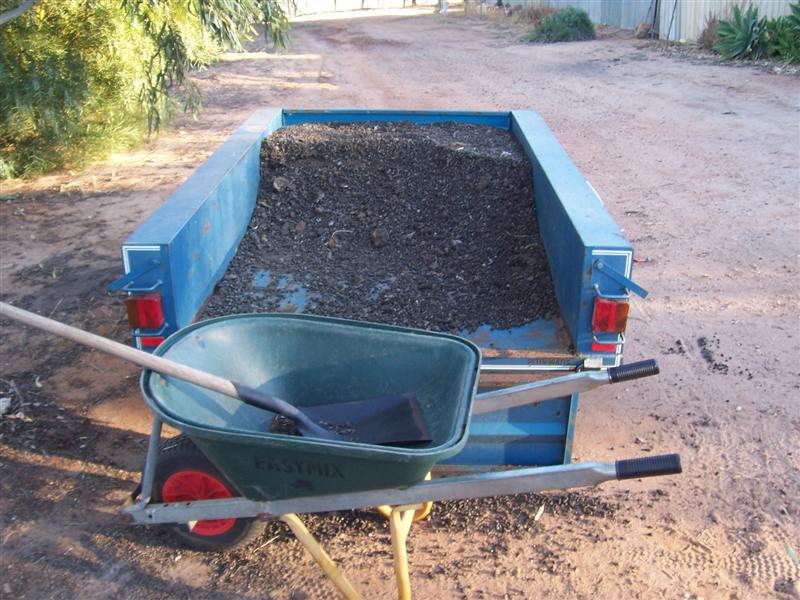 31-10-10 010 (Medium).jpg