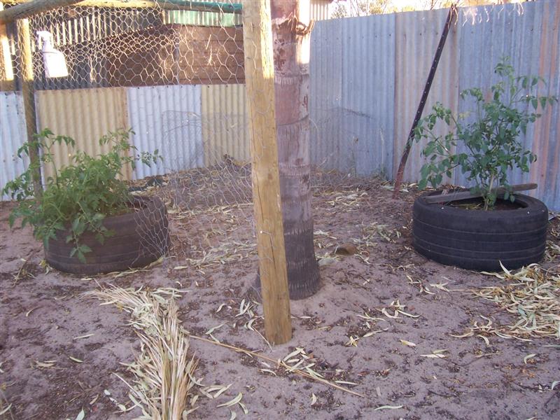 31-10-10 012 (Medium).jpg