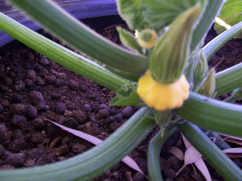 31-10-10 009 (Medium).jpg