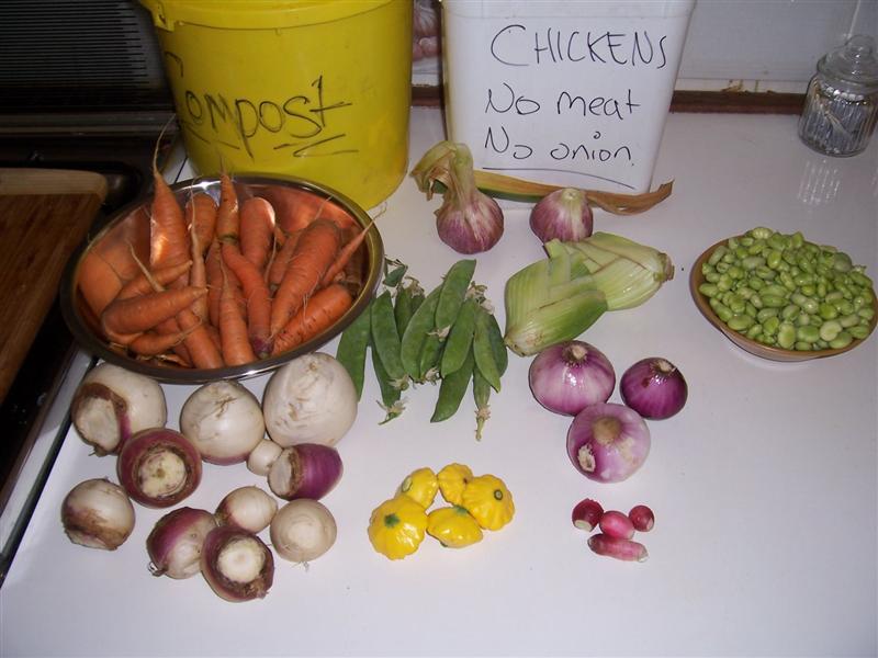 07-11-10 003 (Medium).jpg