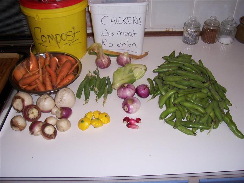 07-11-10 002 (Medium).jpg