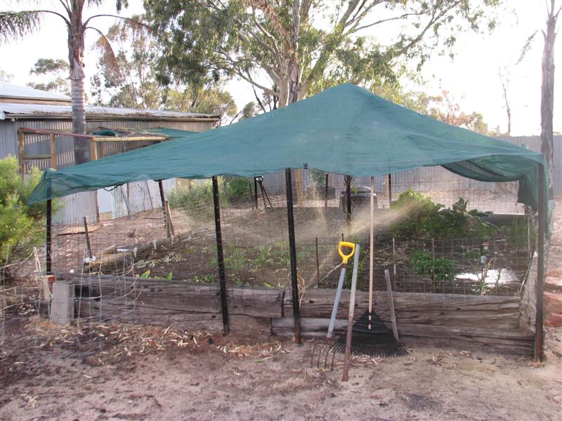 09-11-10 002 (Medium).jpg