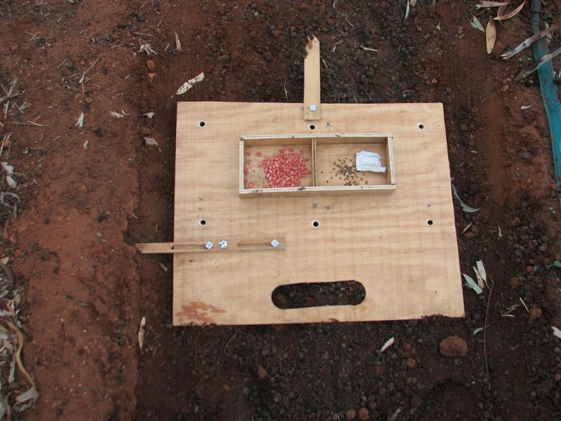 09-11-10 001 (Medium).jpg