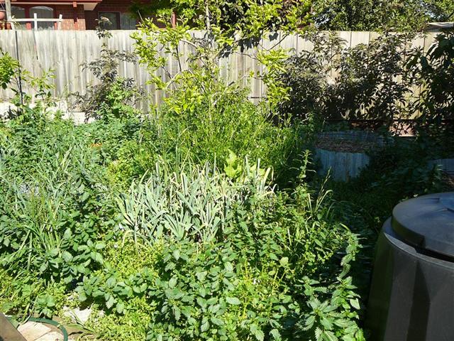 P1040470 (Small).JPG