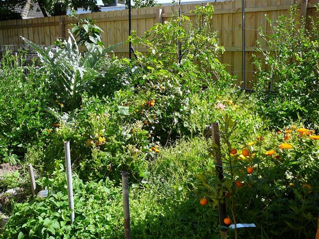 P1040469 (Small).JPG