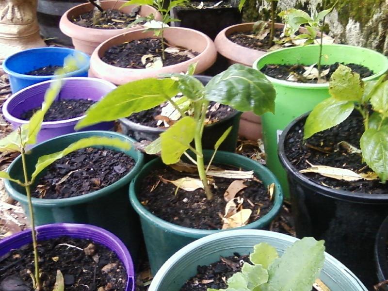 Photo0040 (Medium).jpg