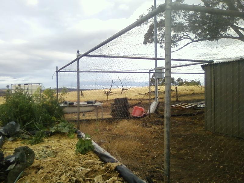 Photo0041 (Medium).jpg