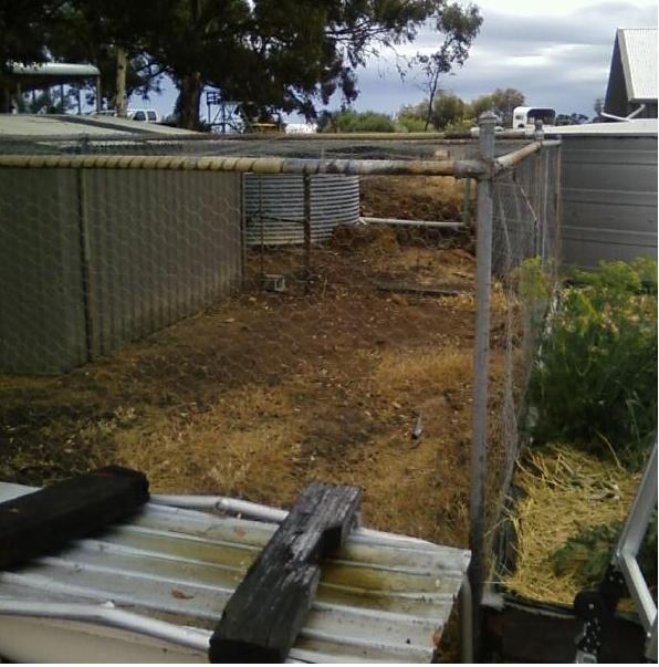 Photo0080 (Medium).jpg