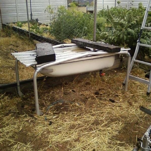 Photo0078 (Medium).jpg