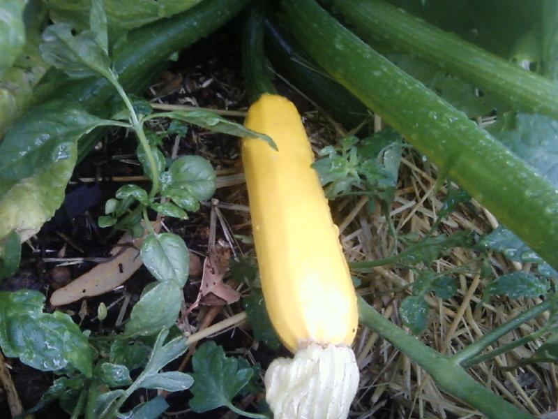 Photo0048 (Medium).jpg