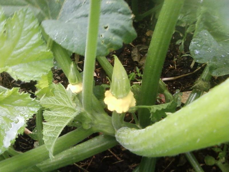 Photo0047 (Medium).jpg