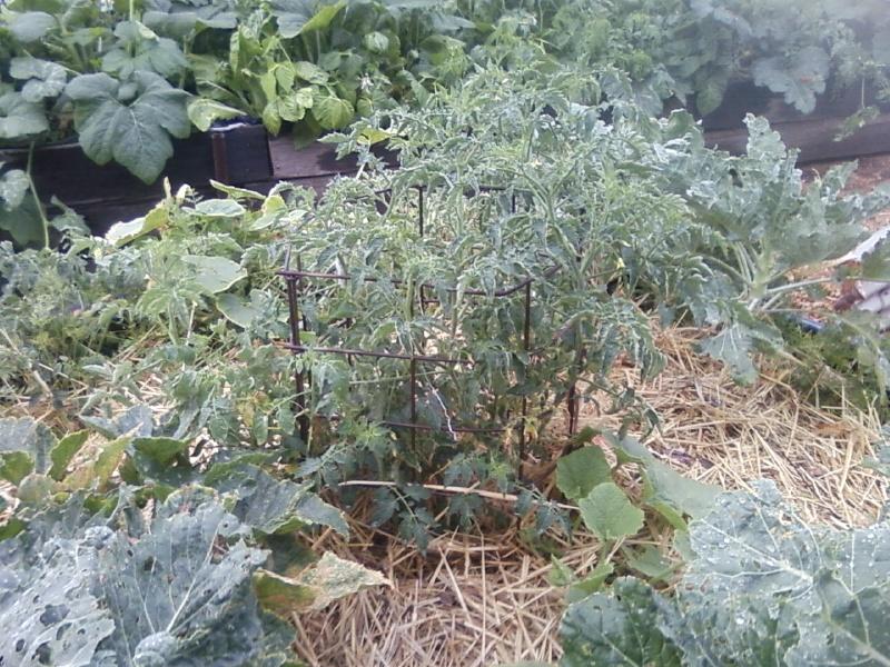 Photo0053 (Medium).jpg