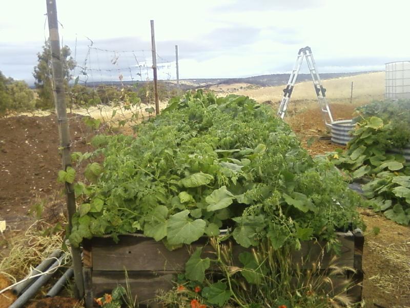 Photo0045 (Medium).jpg