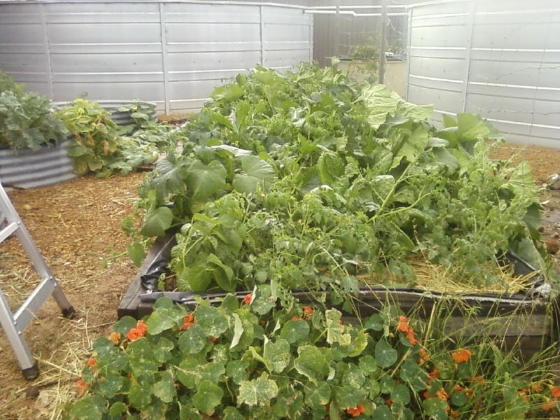 Photo0049 (Medium).jpg