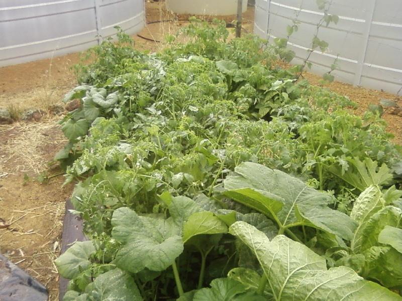 Photo0055 (Medium).jpg